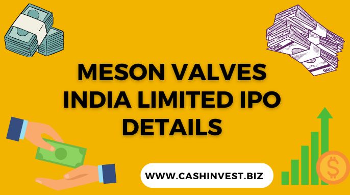 Meson Valves India Limited IPO Details