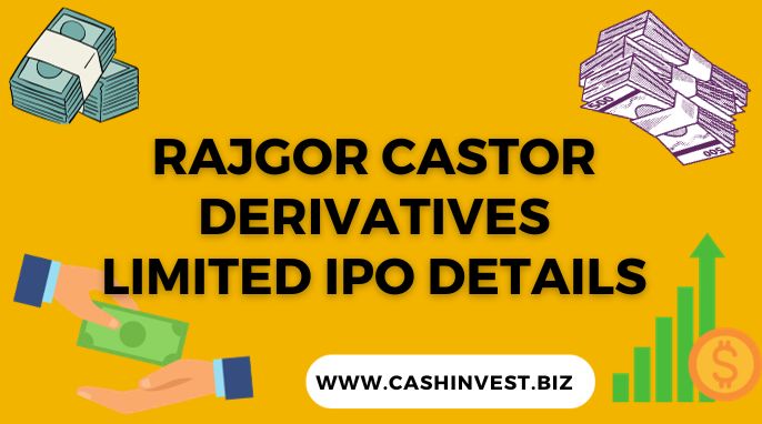 Rajgor Castor Derivatives Limited IPO Details